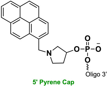 Bio-Synthesis Inc. Oligo Structure